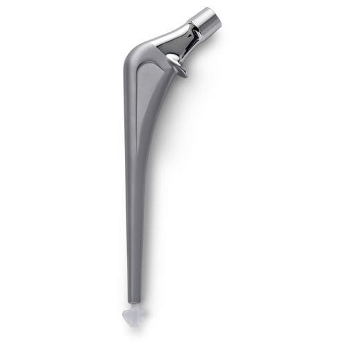 セメント固定大腿骨ステム - ALPINE® - Ortho Development