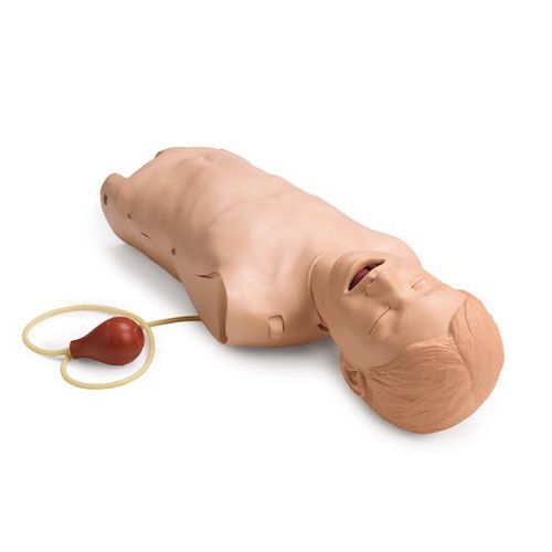 実習用シミュレーター - 255-00001 - Laerdal Medical - 気道確保 / 一般的な治療用 / 解剖学