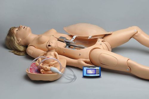 分娩用シミュレーター - NOELLE® S551 - Gaumard - CPR用 / 一般的な治療用 / 女性用