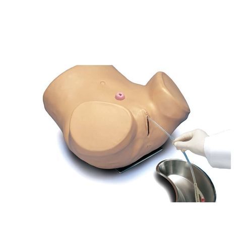 カテーテルシミュレーター - S230.6 - Gaumard - 一般的な治療用 / 成人 / 女性用