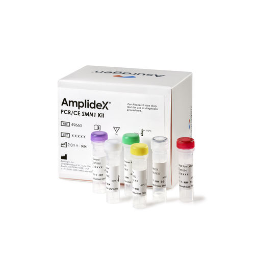 SMN1遺伝子検査キット - AmplideX PCR/CE SMN1 Plus  - Asuragen - 研究用 / 遺伝子突然変異用 / SMN2遺伝子