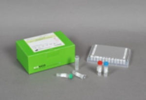 AIDS用検査キット - AccuPower® - Bioneer Corporation - 感染病用 / HIV / 血液