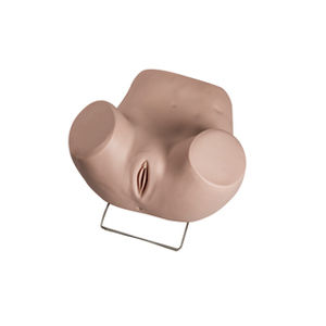 ヒステロスコピー用シミュレーター - GD/F35 - Shanghai Honglian Medical Instrument - 産婦人科用 / 女性用 / 下半身の