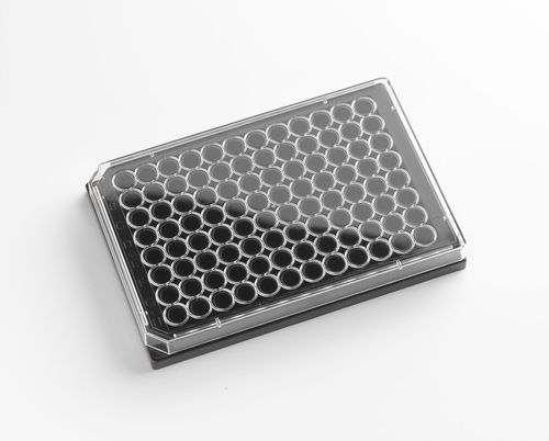 組織培養用マイクロプレート - 205512 - Porvair Sciences Ltd - 研究所用 / 細胞構造画像 / ELISA