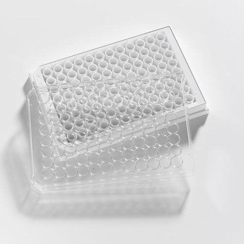 組織培養用マイクロプレート - 204512 - Porvair Sciences Ltd - 細胞構造画像 / ELISA / 蛍光