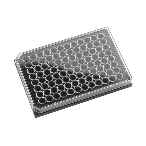 ライフサイエンス用マイクロプレート - 324002 - Porvair Sciences Ltd - 96ウェル