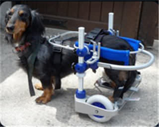 犬用動物用車椅子 - KERDOG™ - OrthoPets Europe