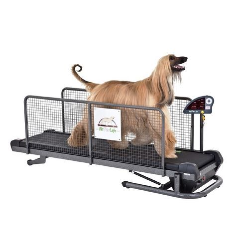 犬用動物トレッドミル - Fit Fur Life Ltd - 傾斜 / 段階的始動 / 速度調節可能
