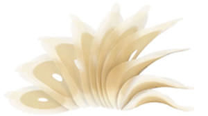 回腸瘻造設用バッグ - SenSura® Mio - Coloplast
