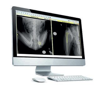 獣医用ソフト - OrthoView VET - Scil Animal Care - 計画用