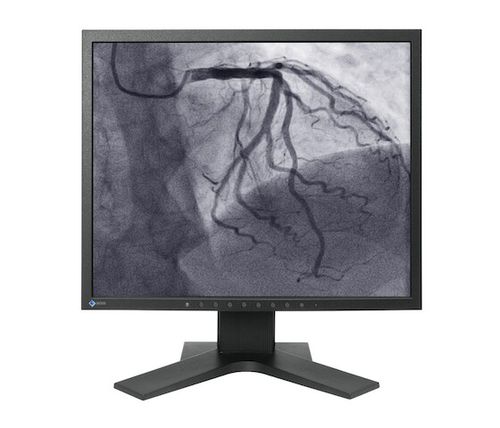 医療用モニター - CuratOR® LS1910 - EIZO GmbH - 手術室用 / 医用画像用 / 診断用