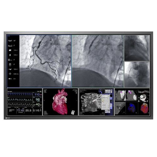 診断用モニター - LS580W - EIZO GmbH - 医用画像用 / 手術室用 / 手術室用