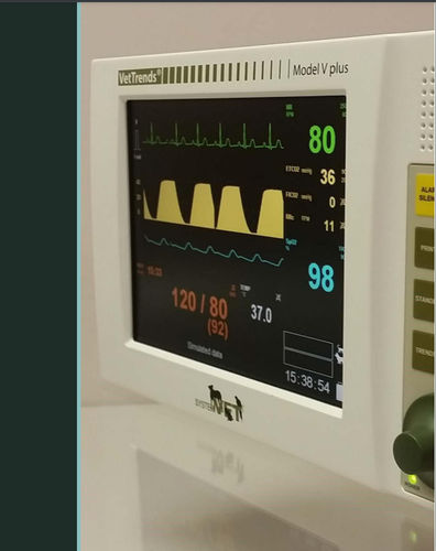 獣医用マルチパラメータモニター - VetTrends® V plus - SystemVET - コンパクト / ECG / TEMP