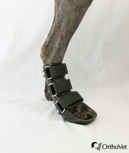 足用動物用スプリント - Bootie - OrthoVet - 犬