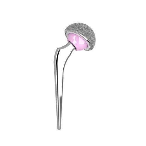 初回人工股関節 - C-STEM™ AMT - Depuy Synthes - 再置換 / セメント固定
