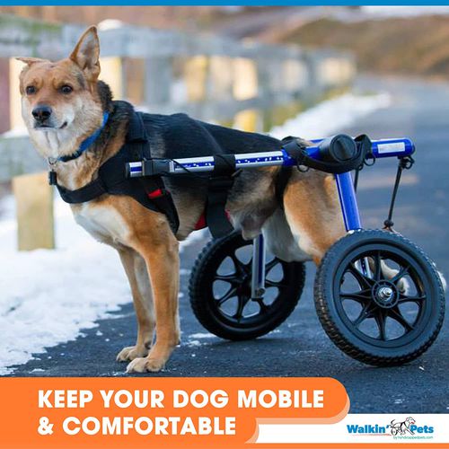 犬用動物用車椅子 - Walkin' Wheels Med/Large - Walkin' Pets