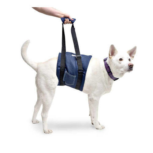 ウォーキング用スリング - Walkin’ Support - Walkin' Pets - リハビリテーション / 脚用 / 犬用