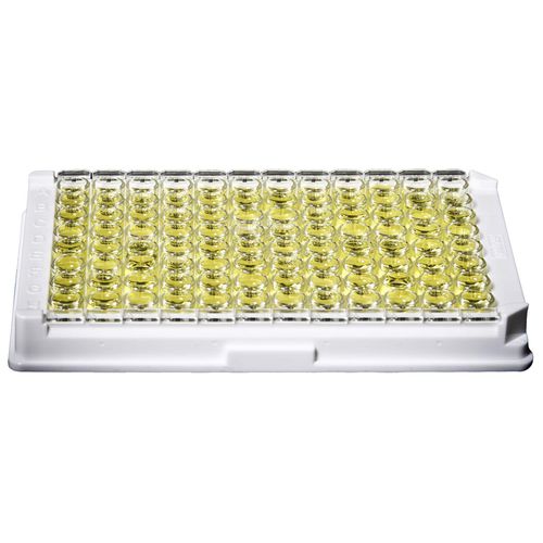自己免疫疾患用検査キット - FIDIS™ - Gold Standard Diagnostics - 血管炎 / ANCA / 免疫分析