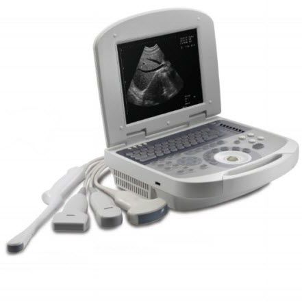 携帯型超音波装置 - Dolphi pro    - Meditech Equipment - 多目的超音波画像診断用 / 白黒 / 内蔵コンソール