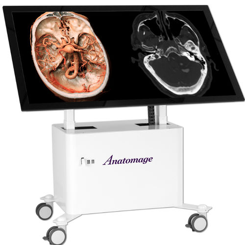 トレーニング用解剖台 - Anatomage - 移動式 / 長方形