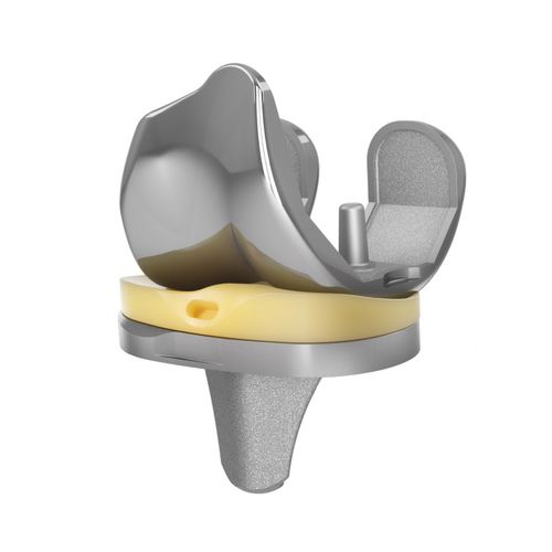 全人工膝関節置換術用人工膝関節 - EMPOWR 3D® - Trilliant Surgical - 固定ベアリング / セメント固定