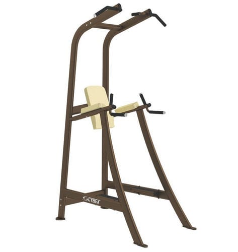 トラクションバー付き脚上げ機 - Free Weights - Cybex