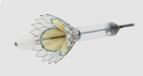 僧帽弁用生体弁 - Cardiovalve - Valtech - 縫合無し