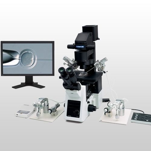 光学顕微鏡 - IX3-ICSI/IMSI  - Evident - Olympus Scientific Solutions - 実験用 / 倒立型 / プラン