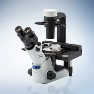 倒立型顕微鏡 - CKX53 - Evident - Olympus Scientific Solutions