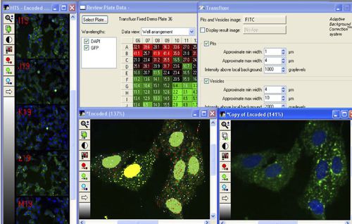 計画用ソフト - MetaXpress®  - Molecular Devices - 制御 / データ収集 / 分析