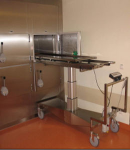 遺体担架用遺体安置棚 - MA-1100 - MEDIS Medical Technology - 2体 / 正面投入 / 2ドア