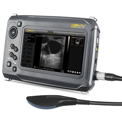 携帯型動物用超音波検査 - BestScan® S6 Convex-Array Vet - BMV - 多目的 / 小動物用 / ウマ科