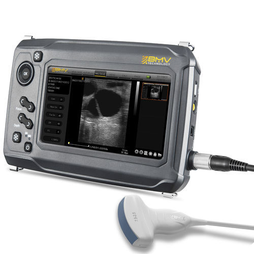 手持ち式動物用超音波検査 - BestScan® S6 Convex-Array Vet - BMV - 多目的 / 小動物用 / 大型動物用