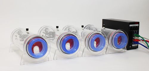 動物用プレチスモグラフ - Buxco® Head-out - DSI - 動物研究用