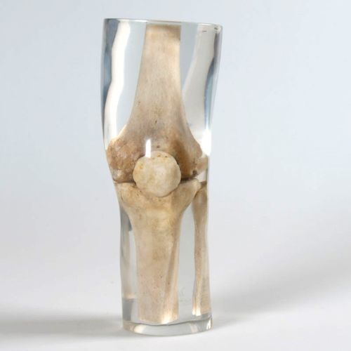 X線撮影用試験用ファントム - 12714 - QUART X-Ray QA Solutions - 脚用 / 膝の / 大腿骨の