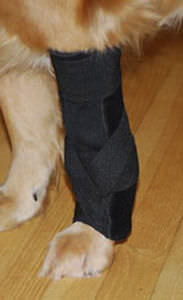 首サポーター動物用関節サポータｰ - Custom Carpal Wraps - Thera-Paw