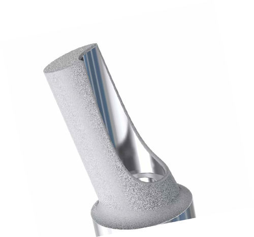 インターナル六角形インプラントアバットメント - 22.xxx series - Dess Dental Smart Solutions - 角度付き