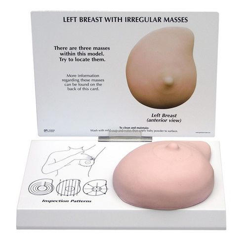 乳房解剖模型 - 3401 - GPI Anatomicals - 実習用 / 癌用