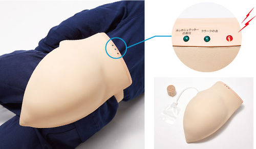 医療訓練用シミュレーター - Buttockmate - Sakamoto Model Corporation - 筋肉内注射用 / 一般的な治療用 / 臀部の