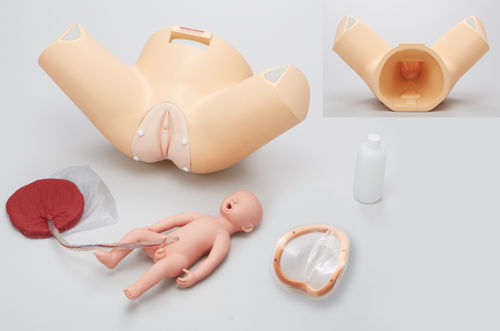 分娩用患者シミュレーター - M184 - Sakamoto Model Corporation - 産科・婦人科 / 妊娠 / 女性用