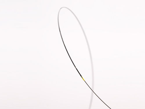 PTCAカテーテル - Arriva™ PTCA - InSitu Technologies - 冠動脈 / バルーン