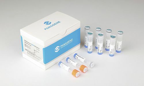 癌用検査キット - PNACIamp™ - Panagene Inc. - 腫瘍学 / NRAS移動用 / 組織用