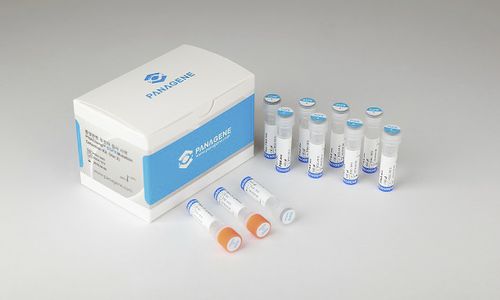 肺がん用検査キット - PNACIamp™ - Panagene Inc. - 腫瘍学 / EGFR移動用 / 組織用