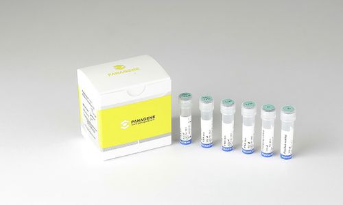 癌用検査キット - PNACIamp™ - Panagene Inc. - 腫瘍学 / FFPE組織 / RT-PCR