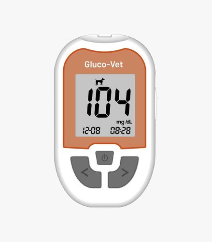 動物用血糖測定器 - Gluco-Vet - Teco Diagnostics