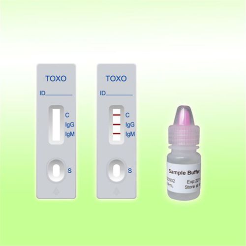 トキソプラスマ症迅速検査キット - 1Q08C1 - Boson Biotech Co., Ltd. - IgG / 免疫グロブリンM / トキソプラズマ・ゴンディ