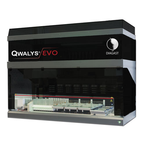 全自動式免疫血液学分析器 - QWALYS® 3 EVO - Diagast - 臨床診断 / 検出用 / 血液