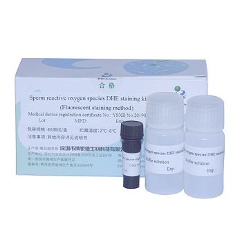 染色液試薬キット - DHE  - Bred Life Science Technology Inc . - 精液分析用