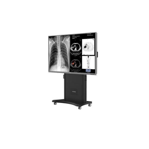 医用画像用モニター - S8420S - Nanjing Jusha Display Technology - 3840 × 2160 / ポータブル / リモート