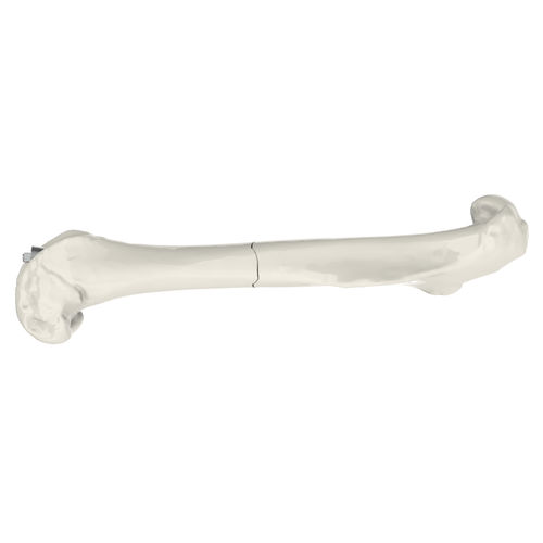 コンプレッサー動物用整形外科用ねじ - RatScrew - RISystem AG - 大腿骨用